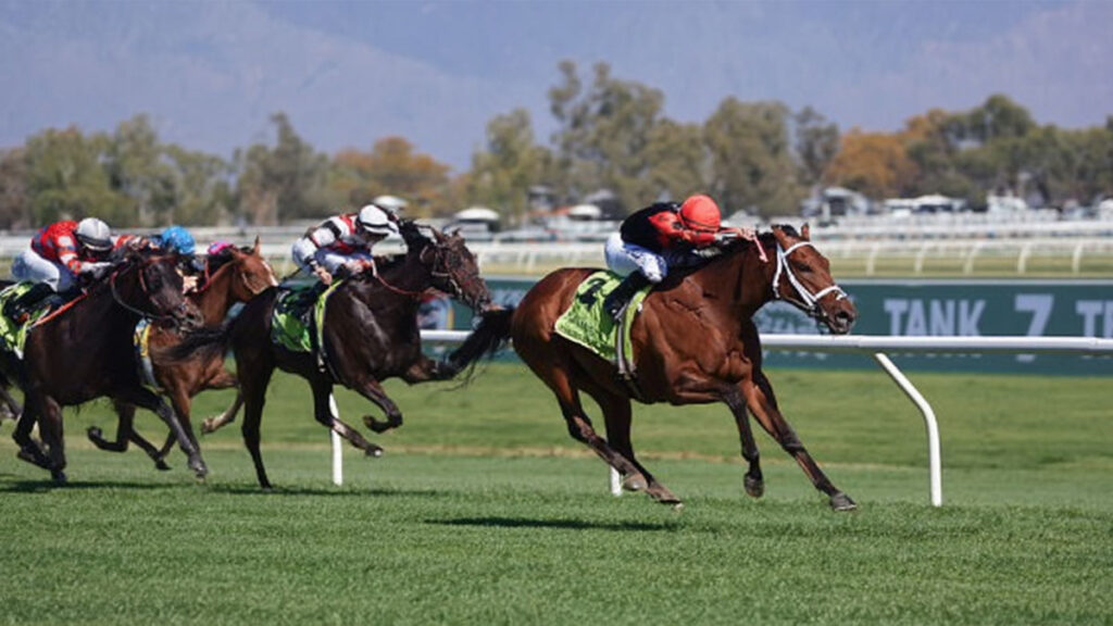 magic turf vip